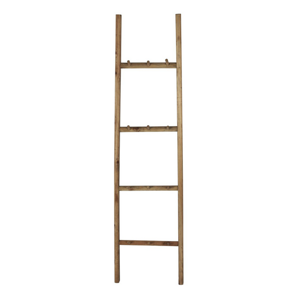 Display Ladder with Hooks