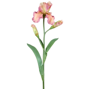 Faux German Iris Stem