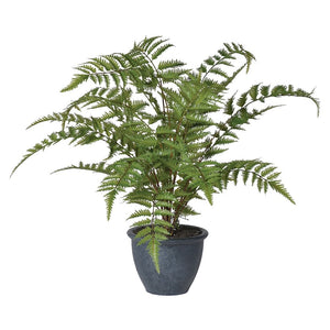 Faux Green Bracken Fern Plant in Dark Grey Pot