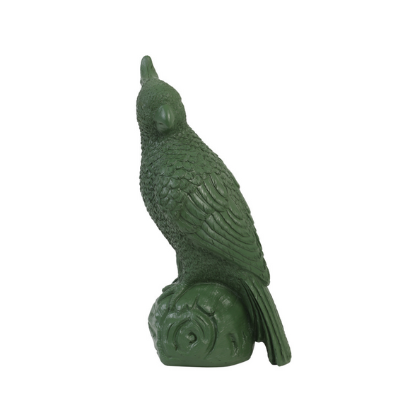 Green Parrot