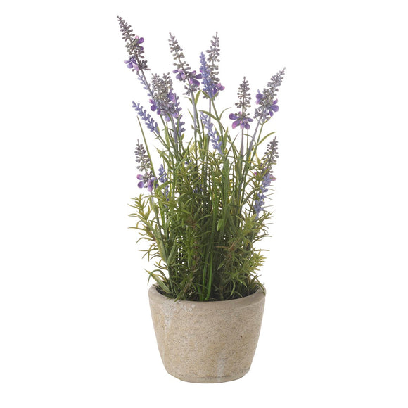 Lavender Potted Planter